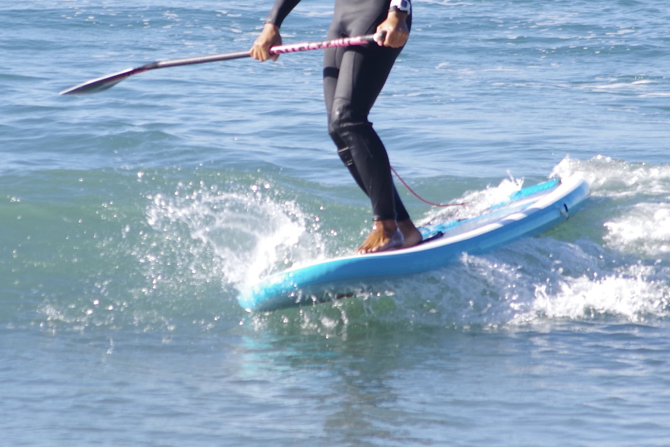 Red Paddle Wisper